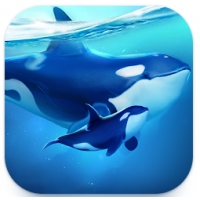 World of Water